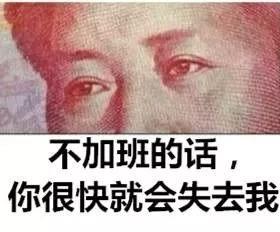 德信体育节免单疯抢季